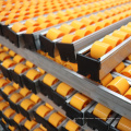 ABS Plastic Roller Track for Pallets